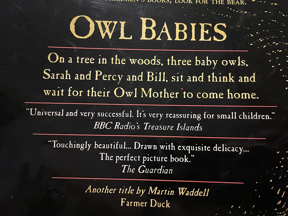 Thumbnail: Owl Babies by Martin Waddell 
