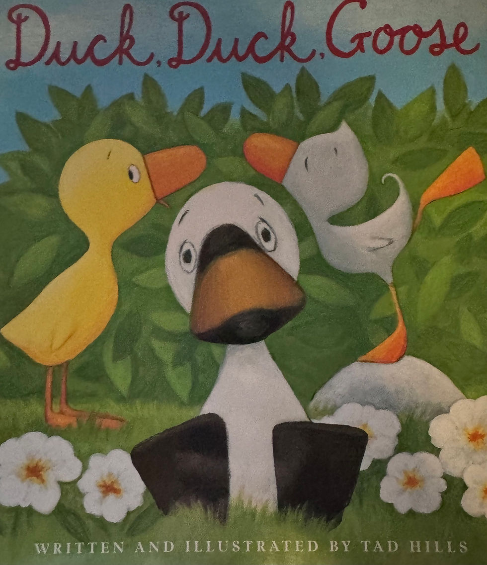 Thumbnail: Duck, Duck, Goose by Tad Hills