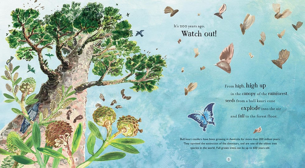 Thumbnail: Seed to Sky Life in the Daintree by Pamela Freeman