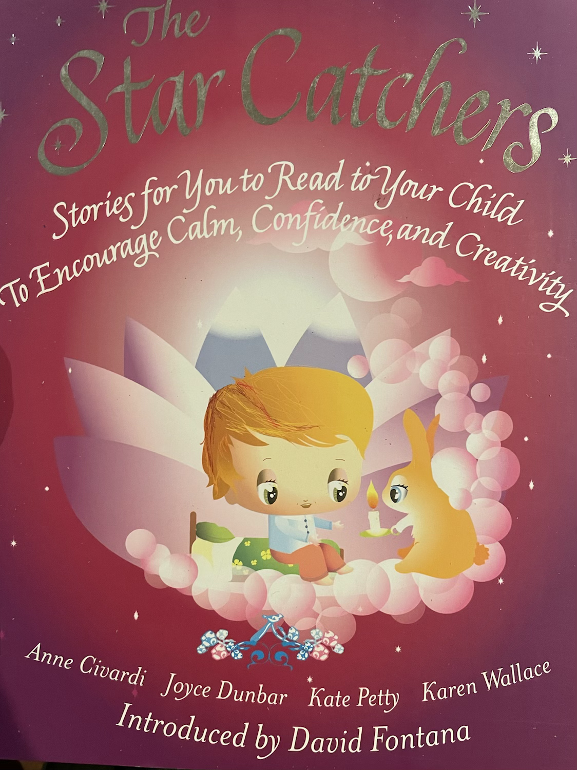 The Star Catchers 