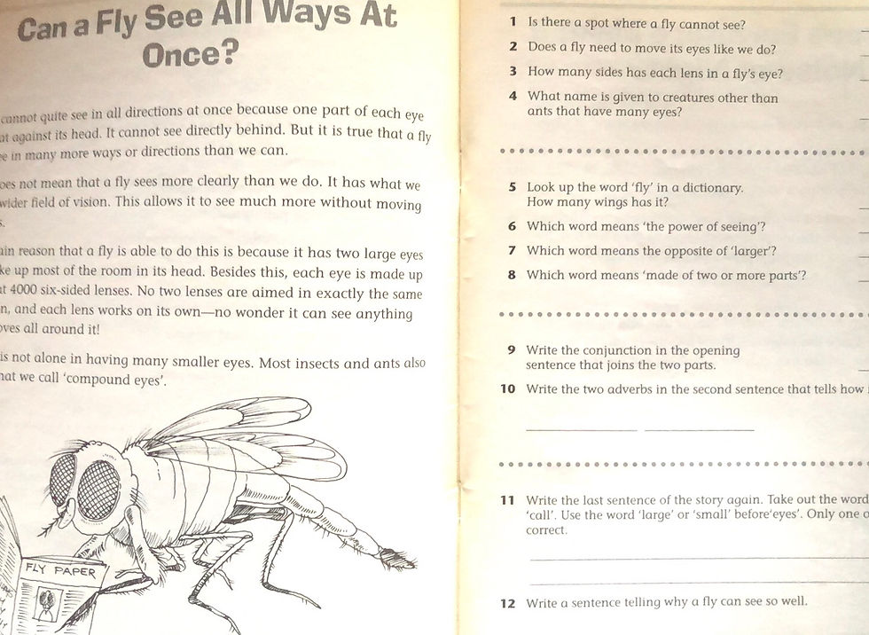 Thumbnail: English Skills in Context Middle Primary 