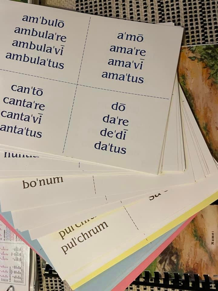 Thumbnail: The Latin Road to English Grammar Vol 1 