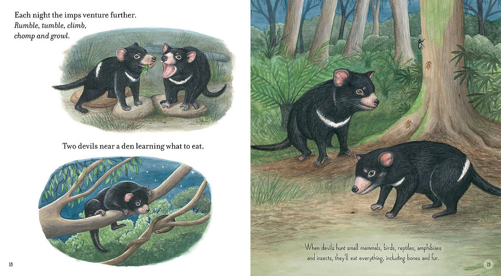 Thumbnail: Tasmanian Devil by Claire Saxby