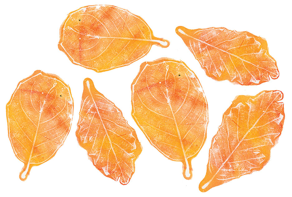 Thumbnail: Gel Press Printing Plate 30 x 37cm (12 x 14″)