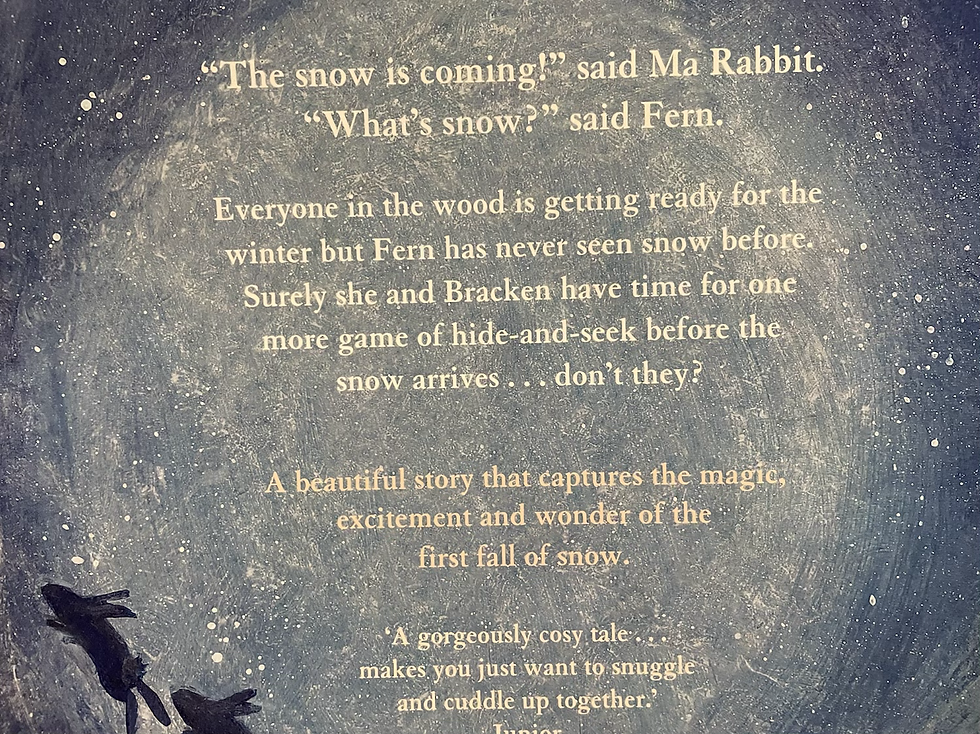 Thumbnail: Little Fern’s First Winter by Jane Simmons