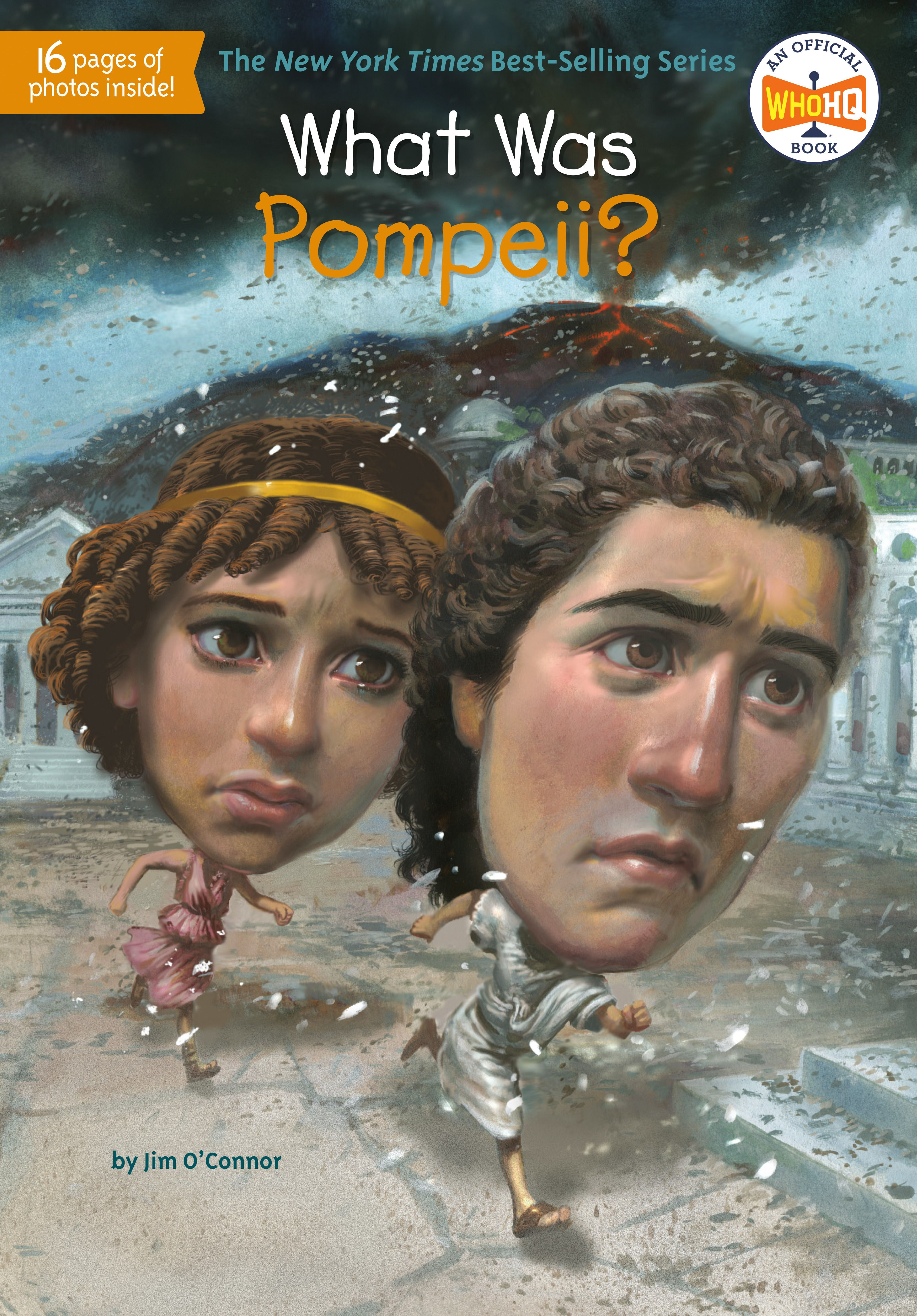 What Was Pompeii? by Jim O'Connor