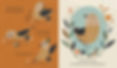 Bird Builds a Nest A Science Storybook about Forces