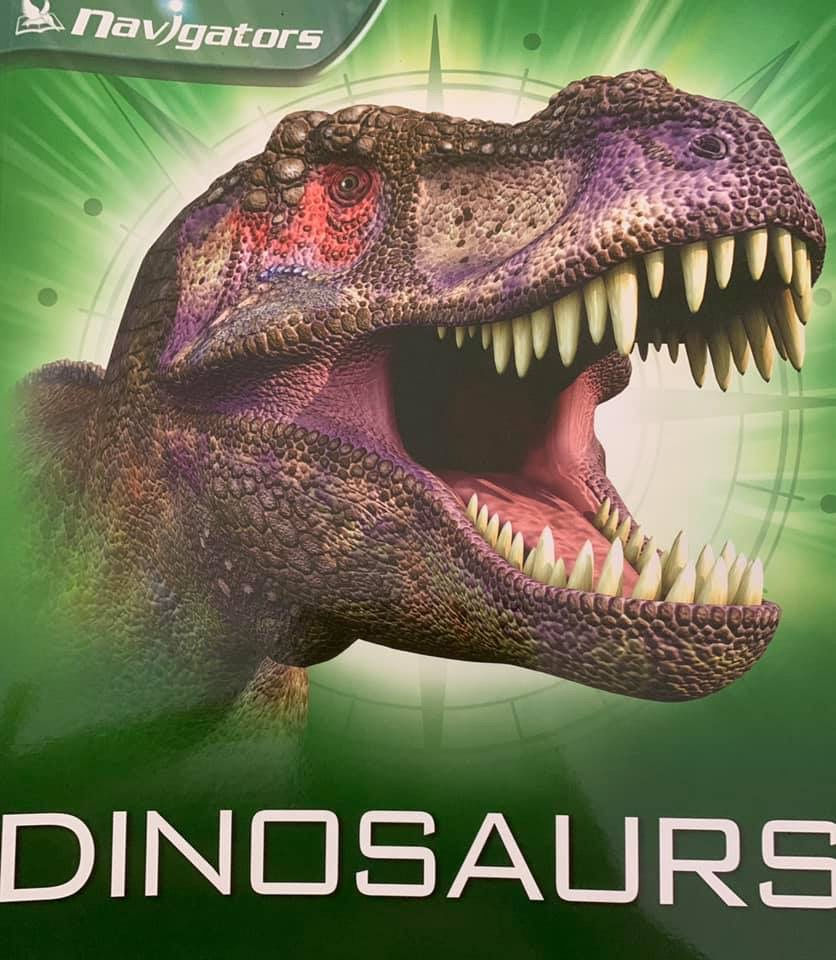 Used: Kingfisher Dinosaurs