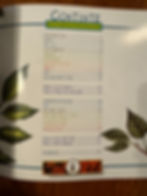 Trees, Leaves and Bark by Diane L Burns