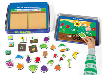 Plants Magnetic Activity Tin