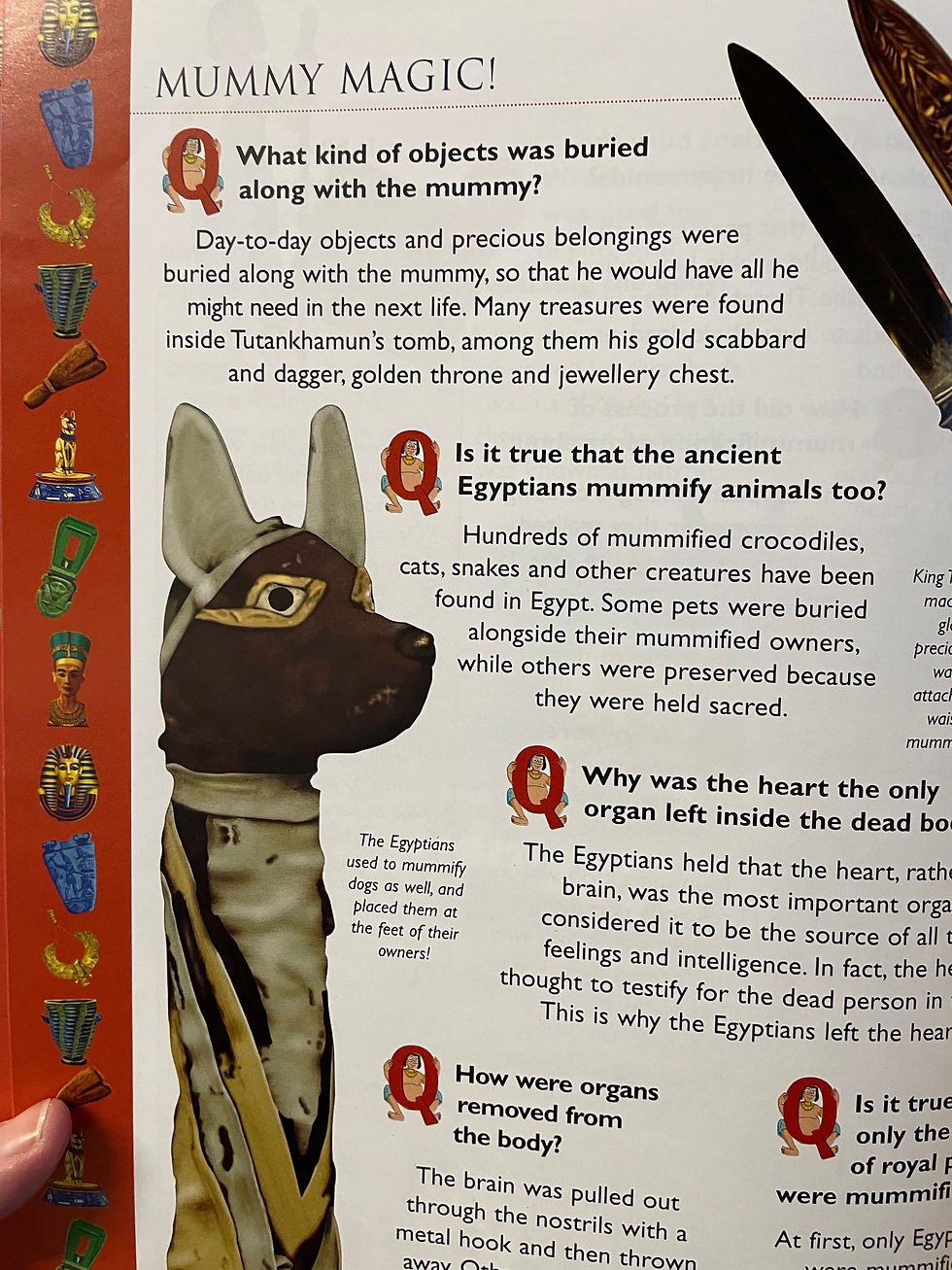 Thumbnail: Step Into the World of Ancient Egypt