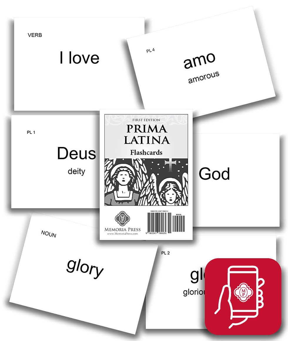 Thumbnail: Prima Latina