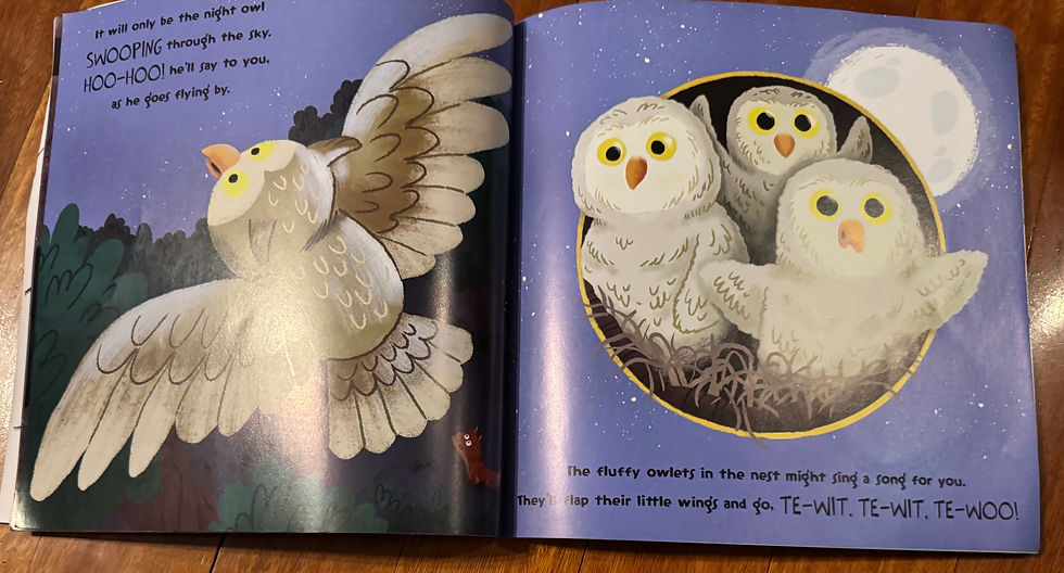 Who’s Afraid of the Dark? By David Creighton-Pester