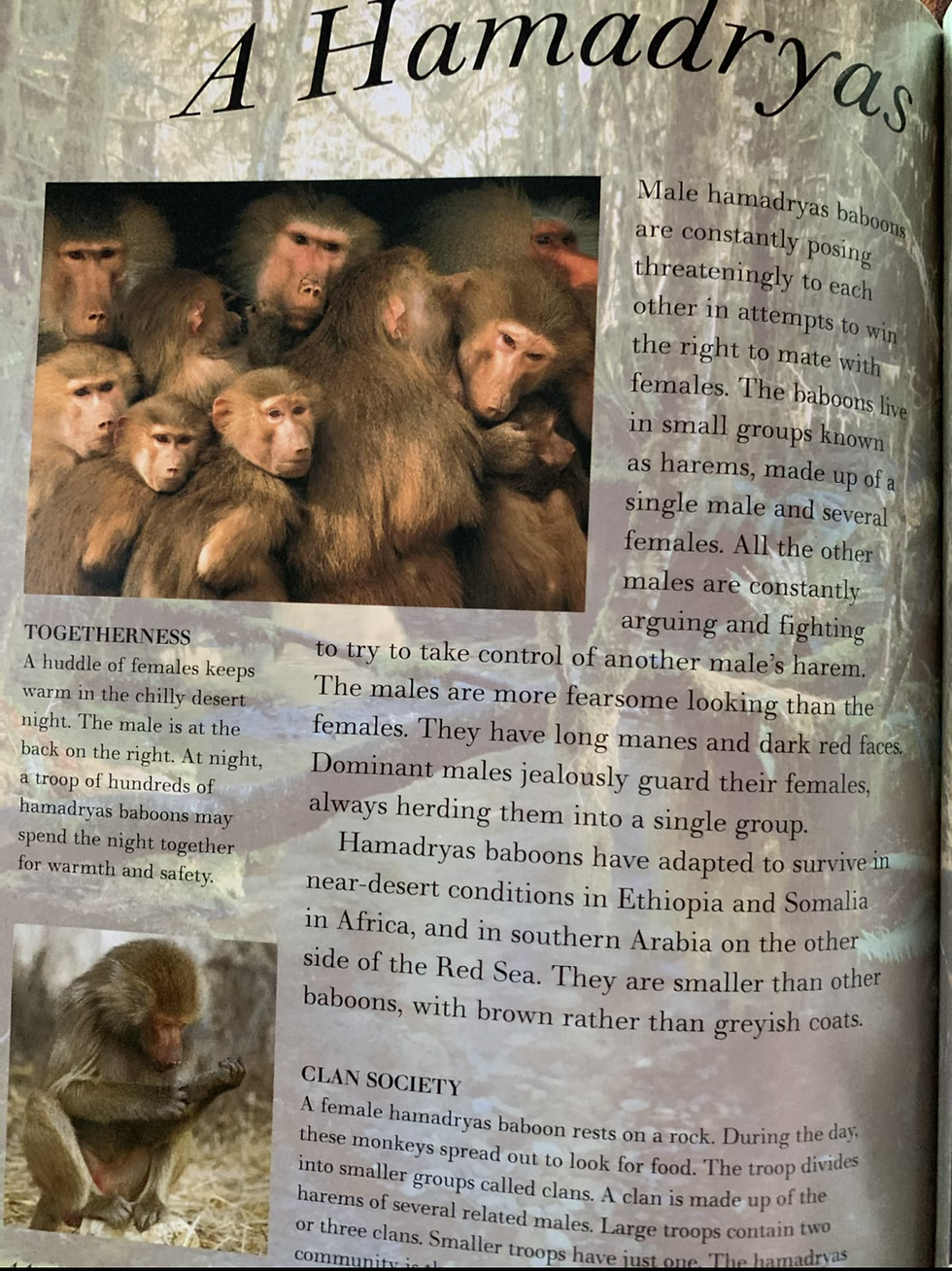 Thumbnail: Monkeys By Tom Jackson 