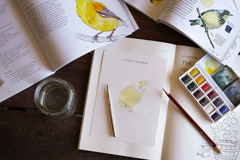 Far Afield Watercolor Cards