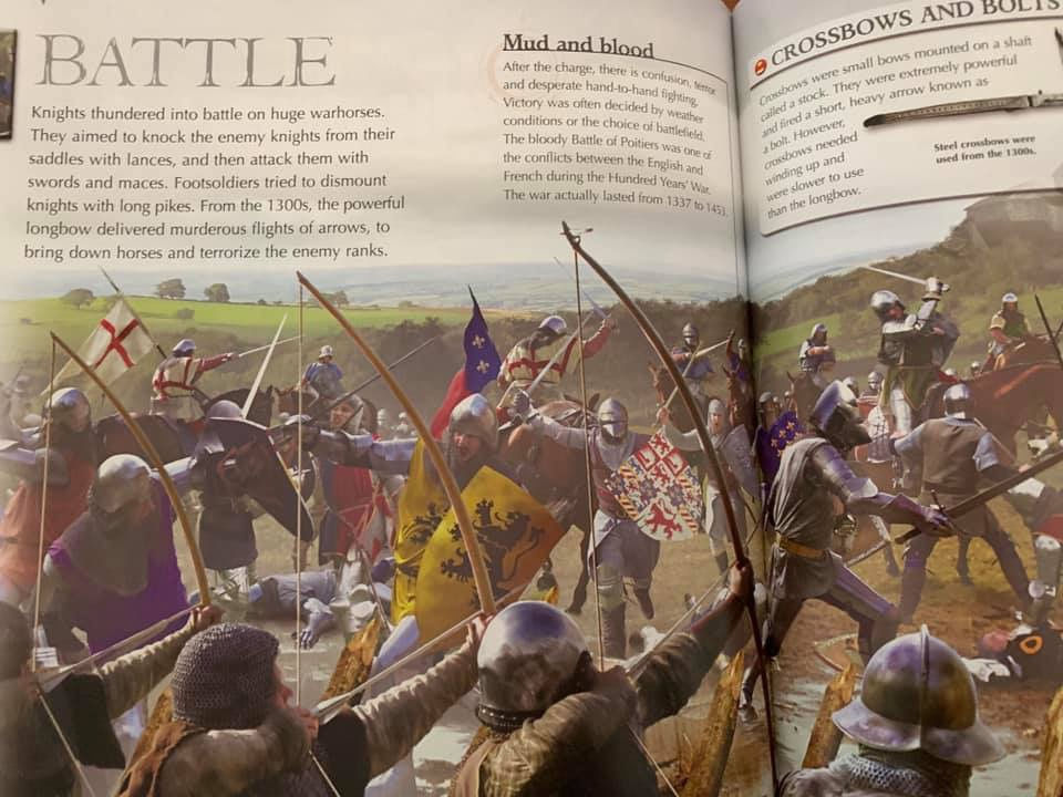 Thumbnail: Kingfisher Knights & Castles 