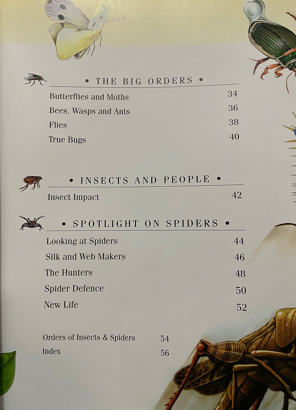 Thumbnail: Insects & Spiders by George Else (Discoveries) 
