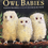 Thumbnail: Owl Babies by Martin Waddell 