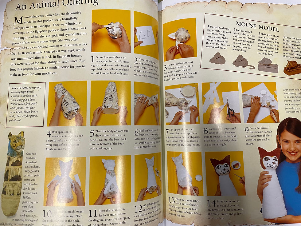 Thumbnail: The Amazing World of Mummies by Fiona Macdonald
