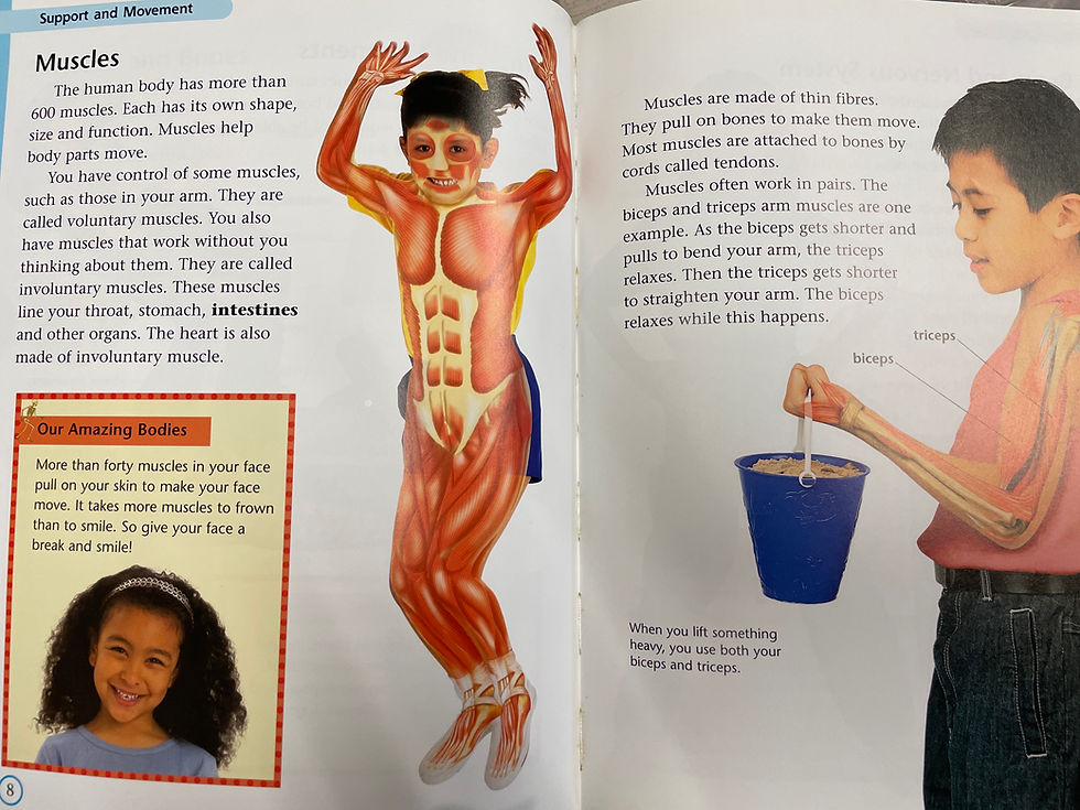 Thumbnail: All About The Body by Joanne Sinclair (DK/Pearson)