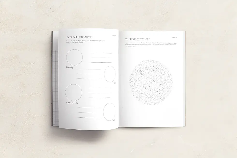 Far Afield Logbook