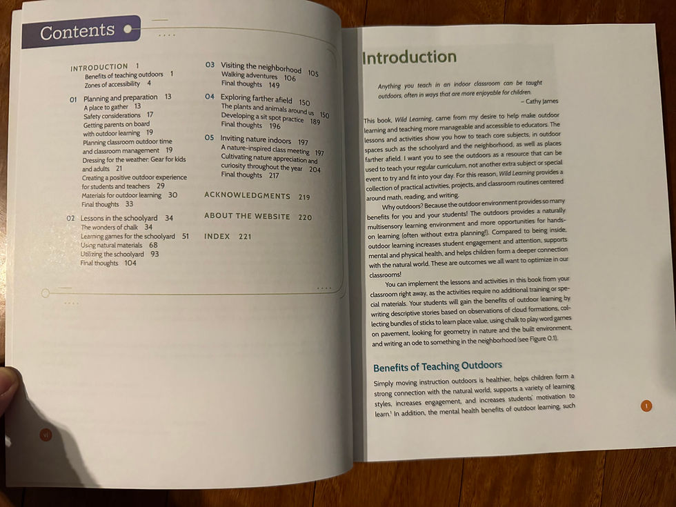 Thumbnail: Wild Learning Teaching Outdoors by Rachel Tidd