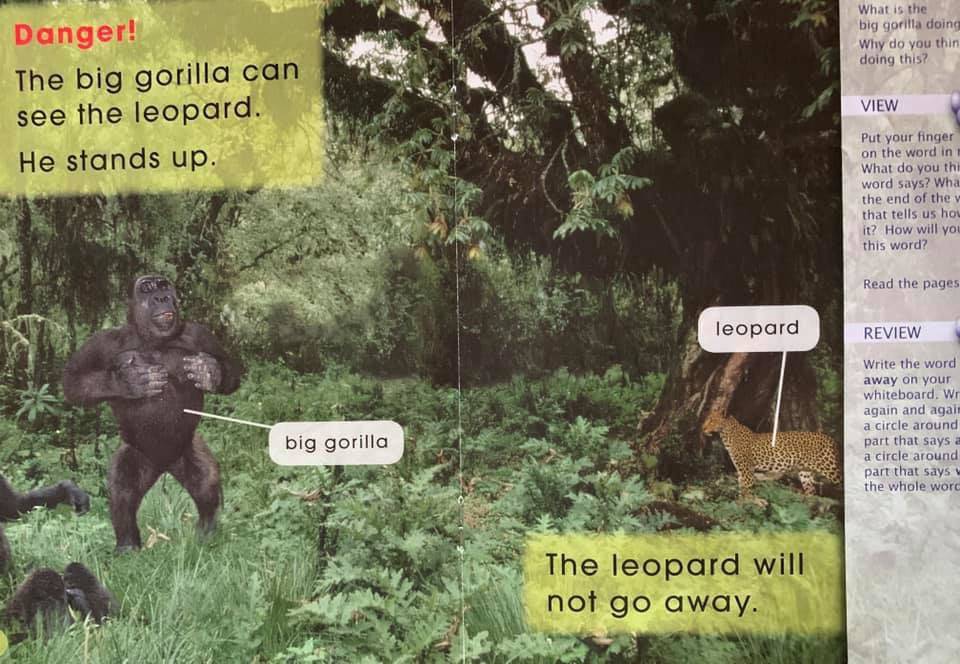 Thumbnail: Big Gorilla (scholastic) Level 4