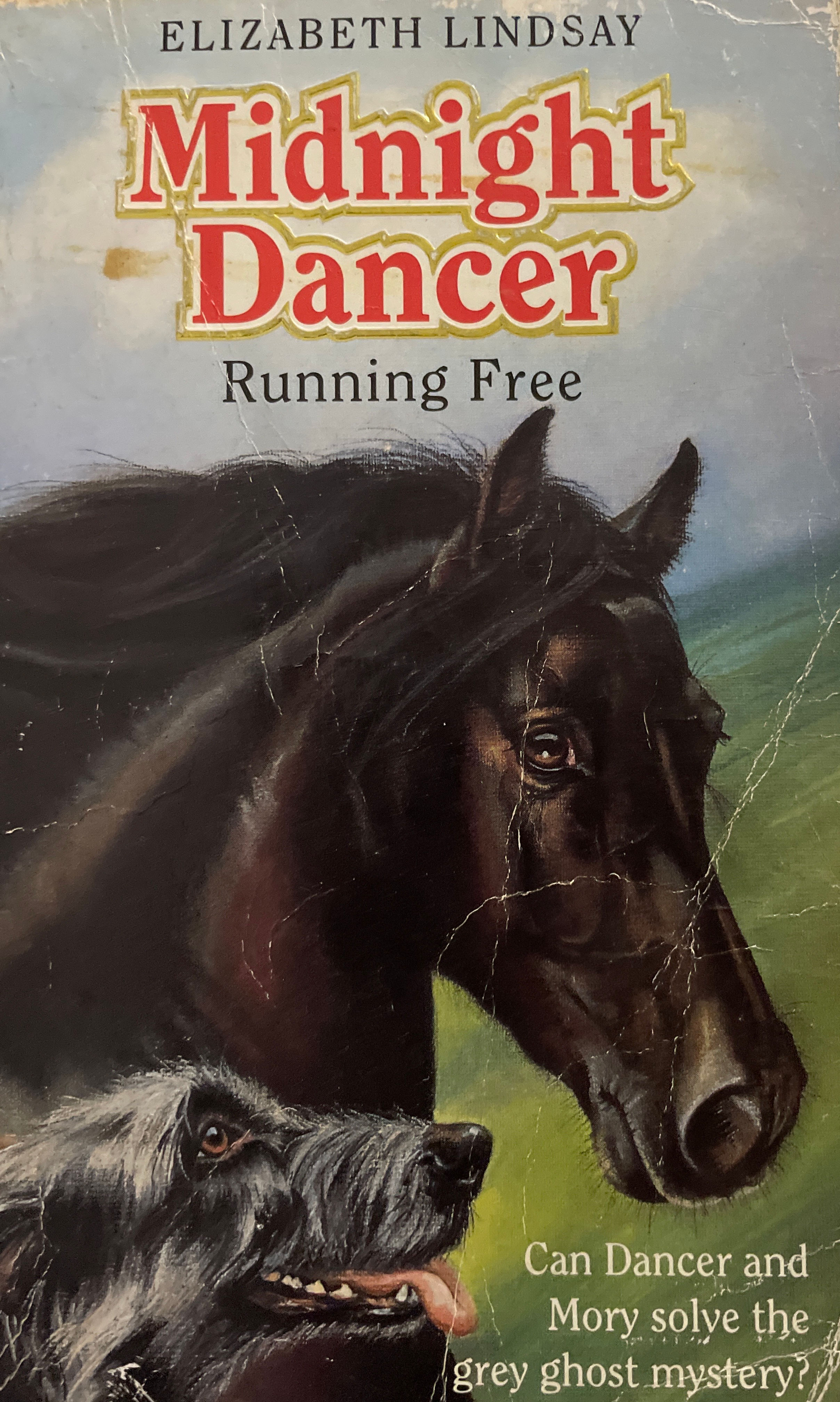 Midnight Dancer - Running Free by Elizabeth Lindsay