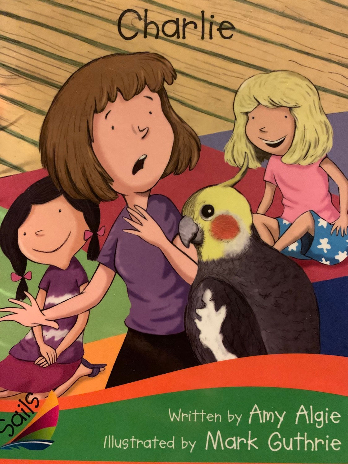 Charlie Level 14/15 (Heinemann)