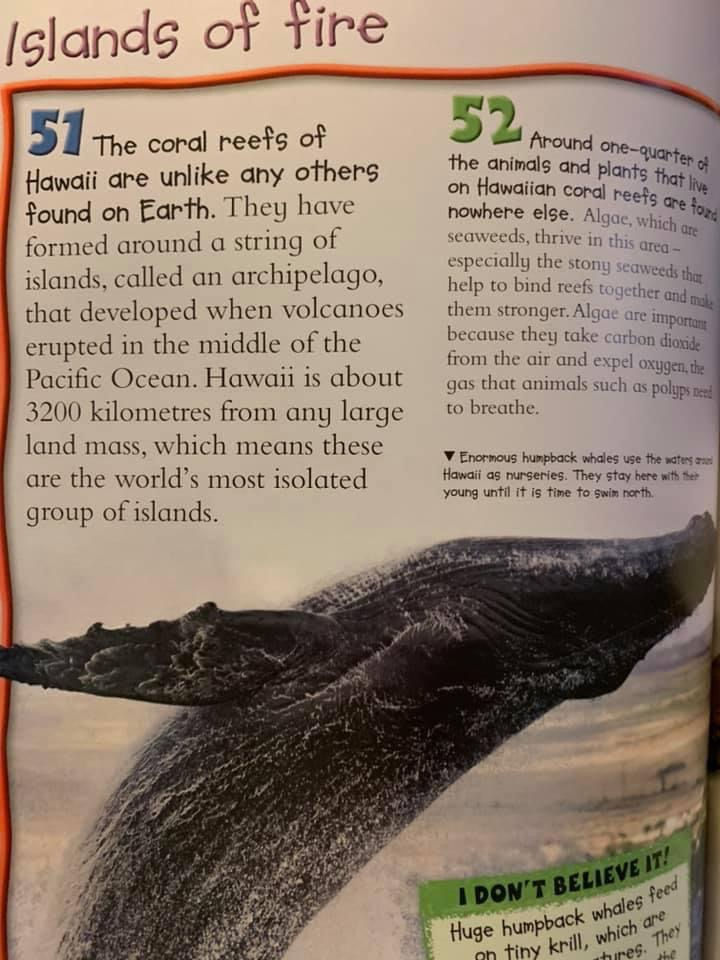 Thumbnail: 100 Facts Coral Reef 