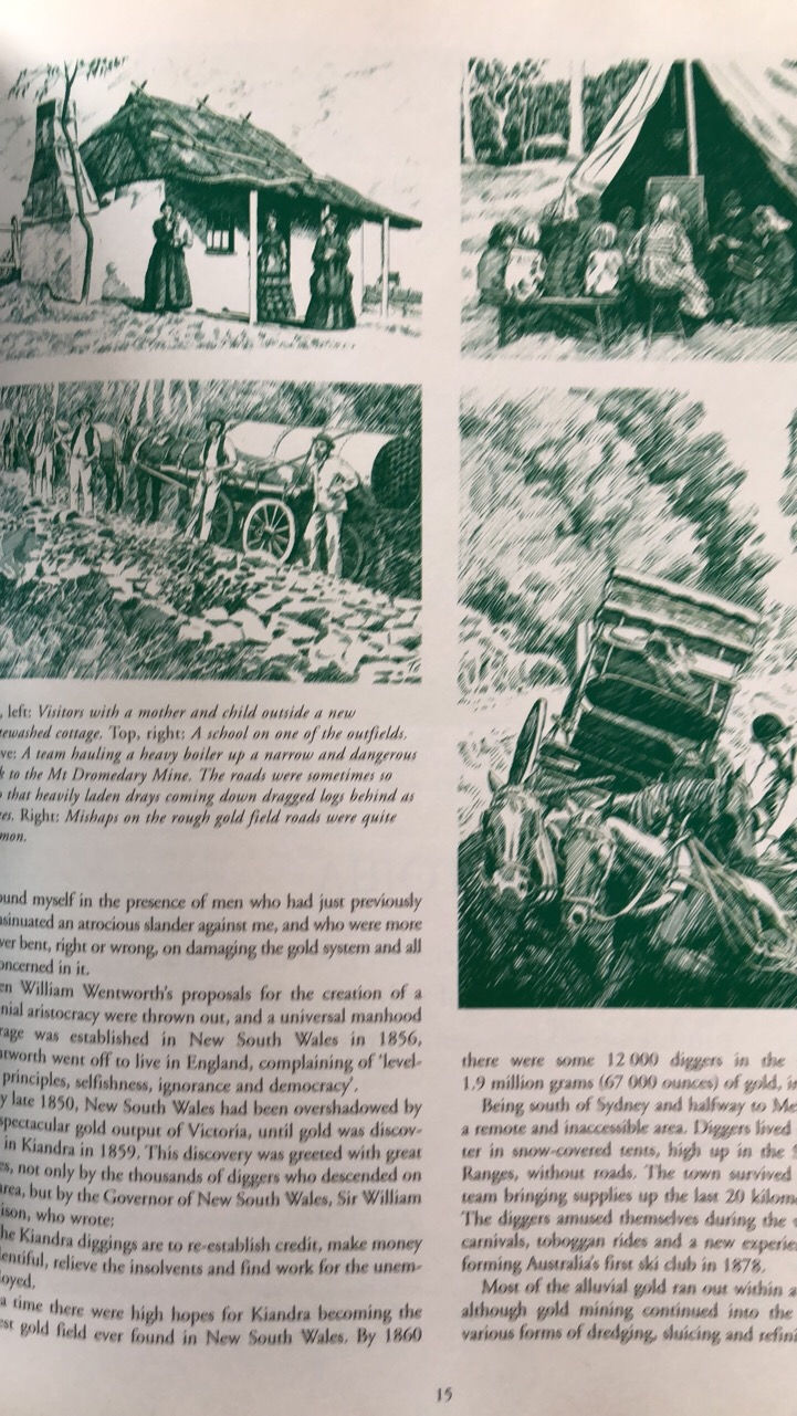 Thumbnail: Gold Australia by Tony Crago (thinner copy with less content)