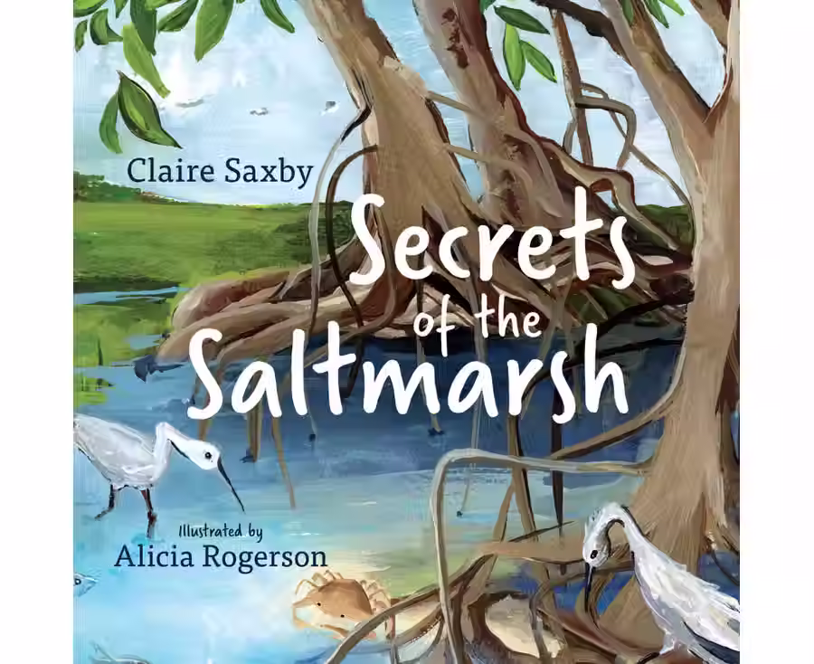 Secrets of the Saltmarsh By: Claire Saxby
