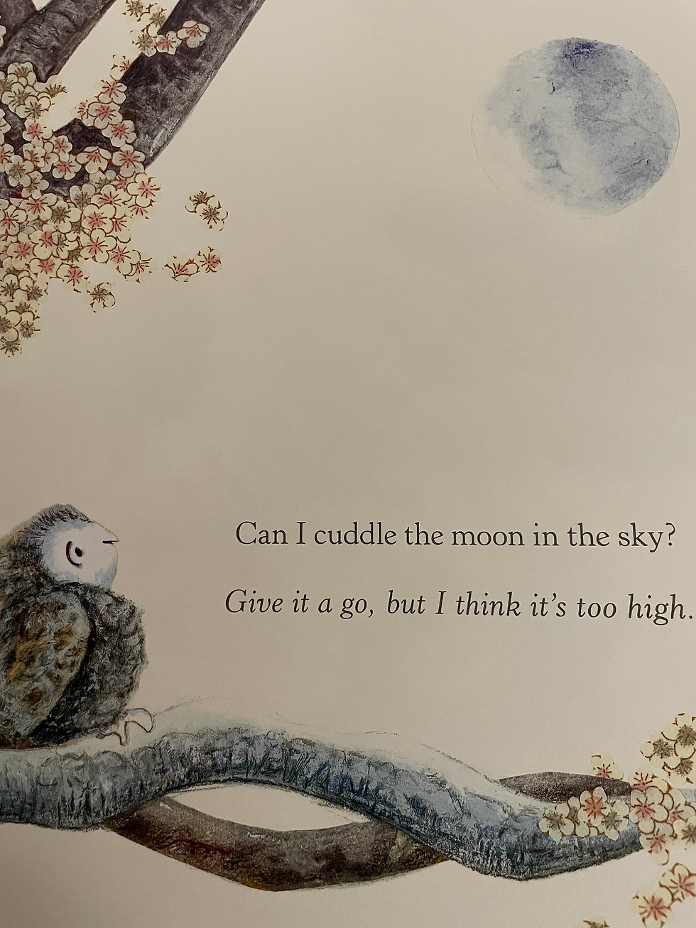 Thumbnail: Can I Cuddle the Moon? By Kerry Brown 