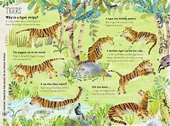 Thumbnail: The Big Book Of Beasts by Yuval Zommer