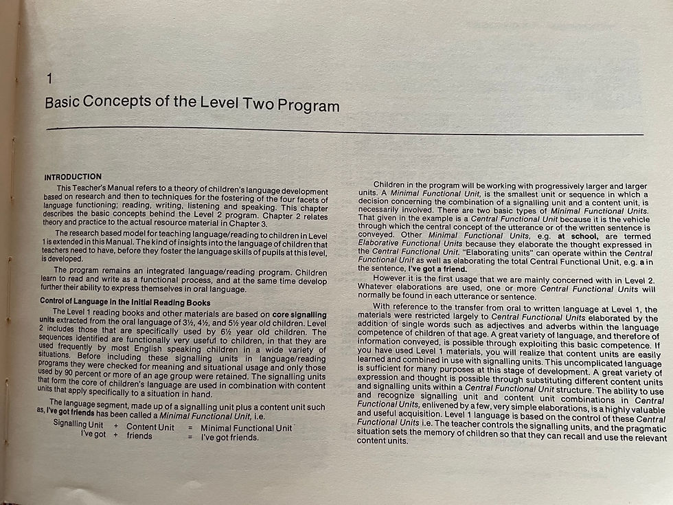 Thumbnail: Developmental Language Reading Program 