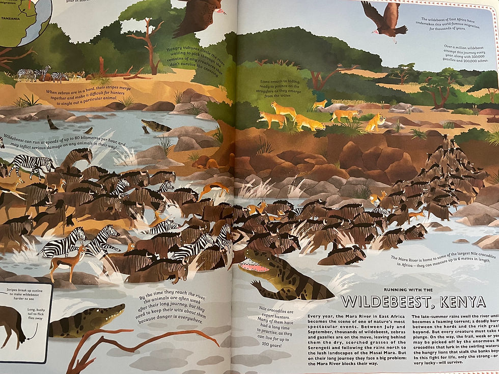 Thumbnail: Atlas of Animal Adventures by Rachel Williams & Emily Hawkins 