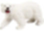Polar Bear - 33cm