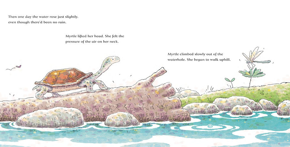 Thumbnail: The Turtle and the Flood by Jackie French