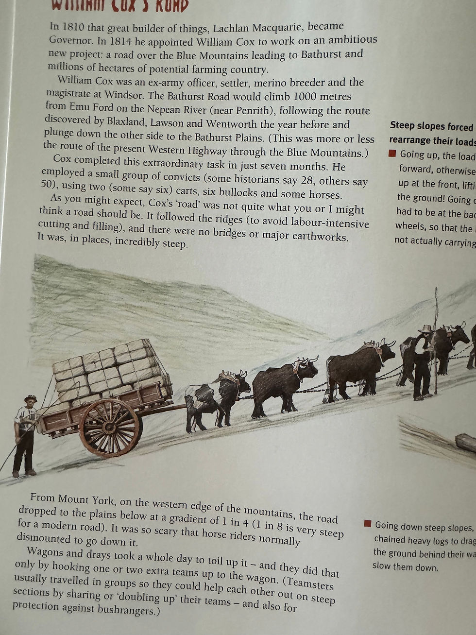 Thumbnail: Cedar, Seal and Whaling Ships by John Nicholson