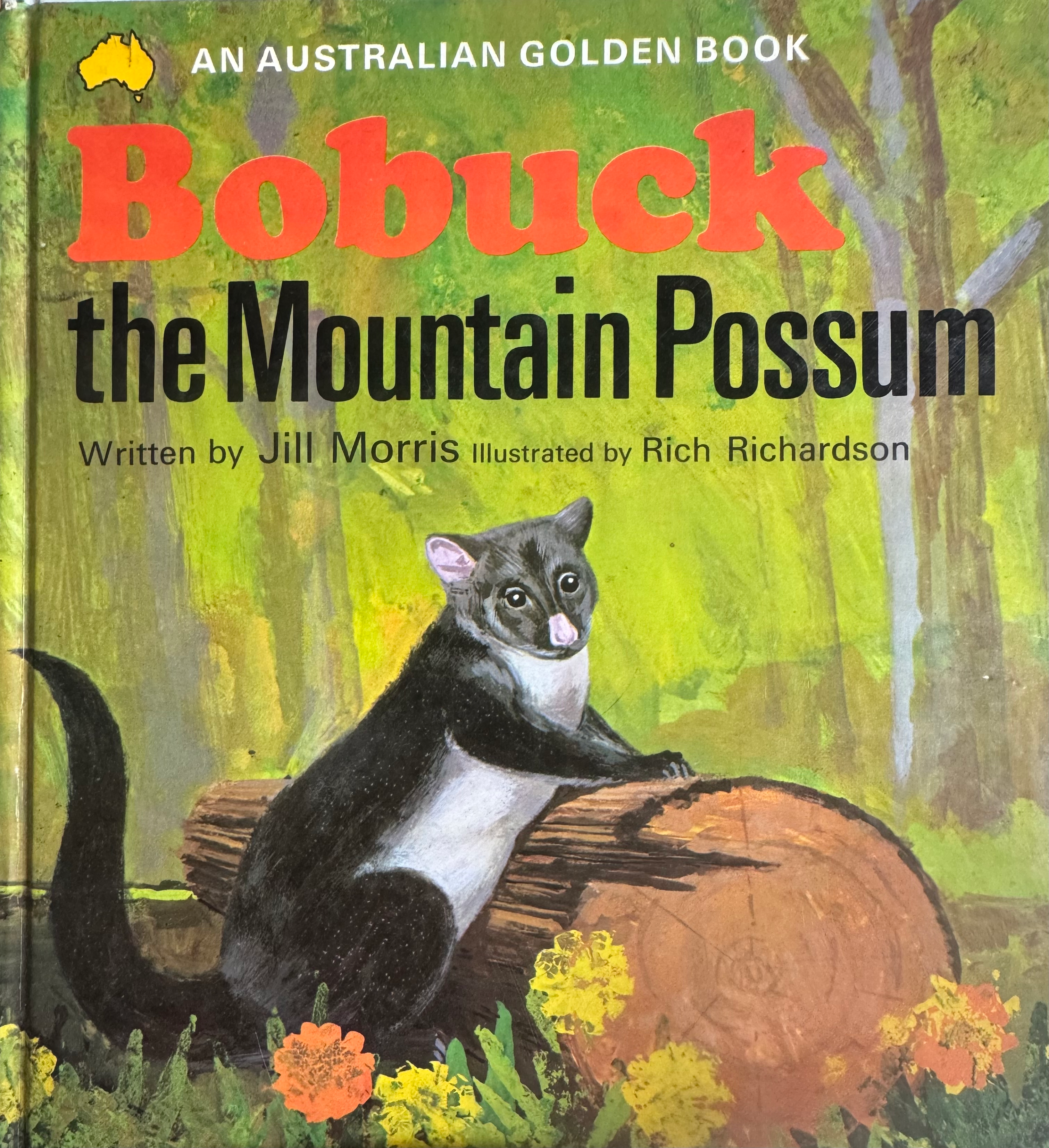 Bobuck the Mountain Possum by Jill Morris 