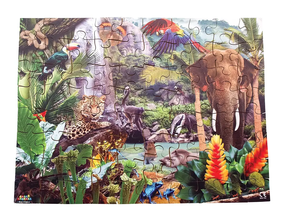 Rain Forest Puzzle - 80 Pieces