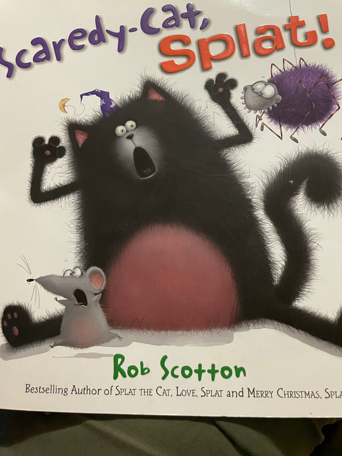 Scaredy-Cat, Splat! By Rob Scotton