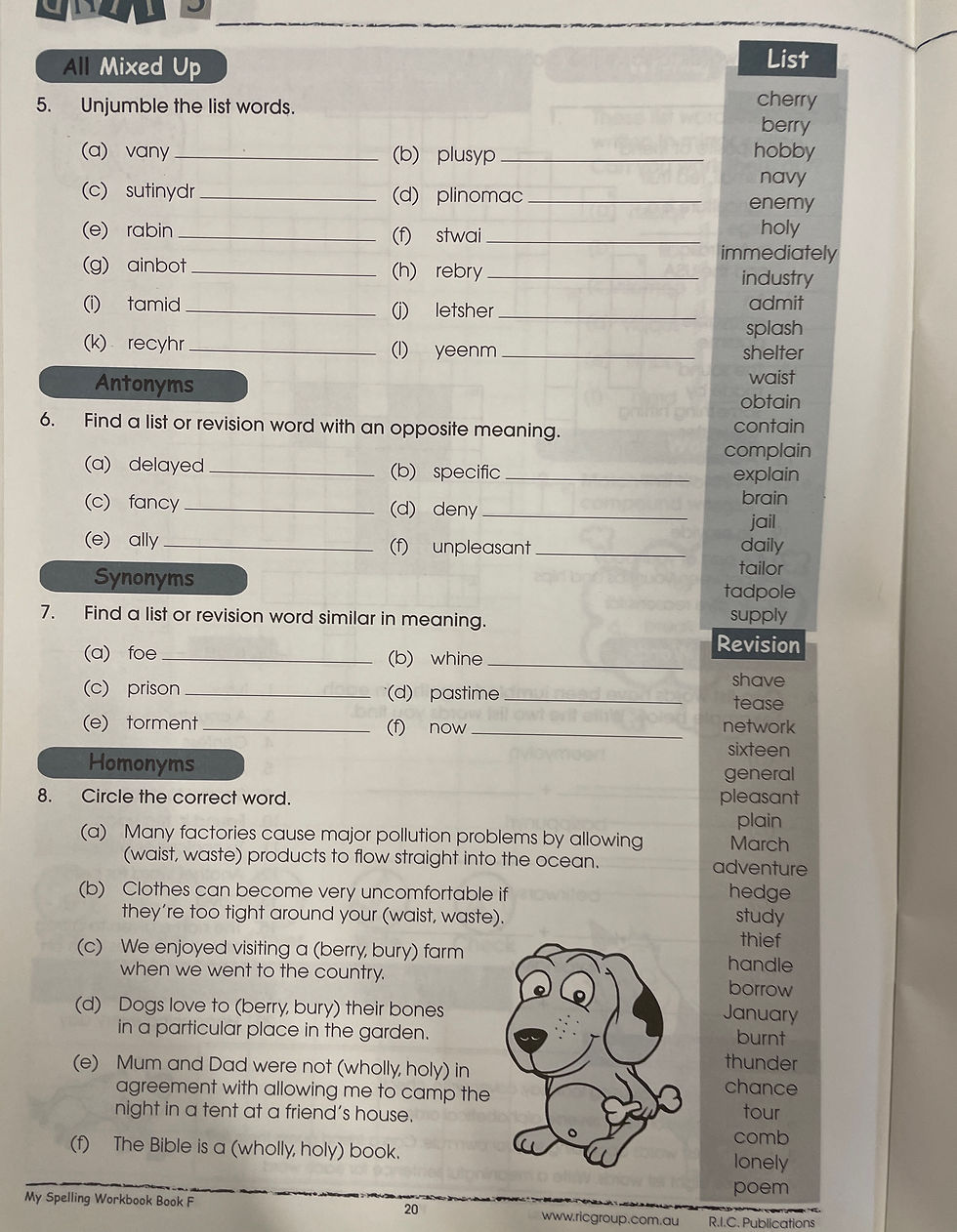 Thumbnail: My Spelling Workbook (RIC Publications) Book F