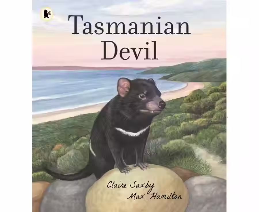 Tasmanian Devil by Claire Saxby