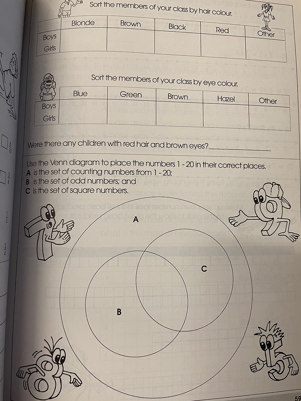 Thumbnail: Boomerang Maths Workbook Level 4 (RIC Publications)