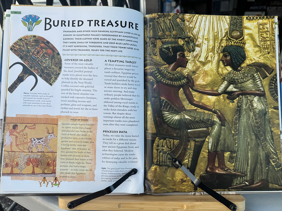 Thumbnail: Ancient Egyptian by Fiona MacDonald 