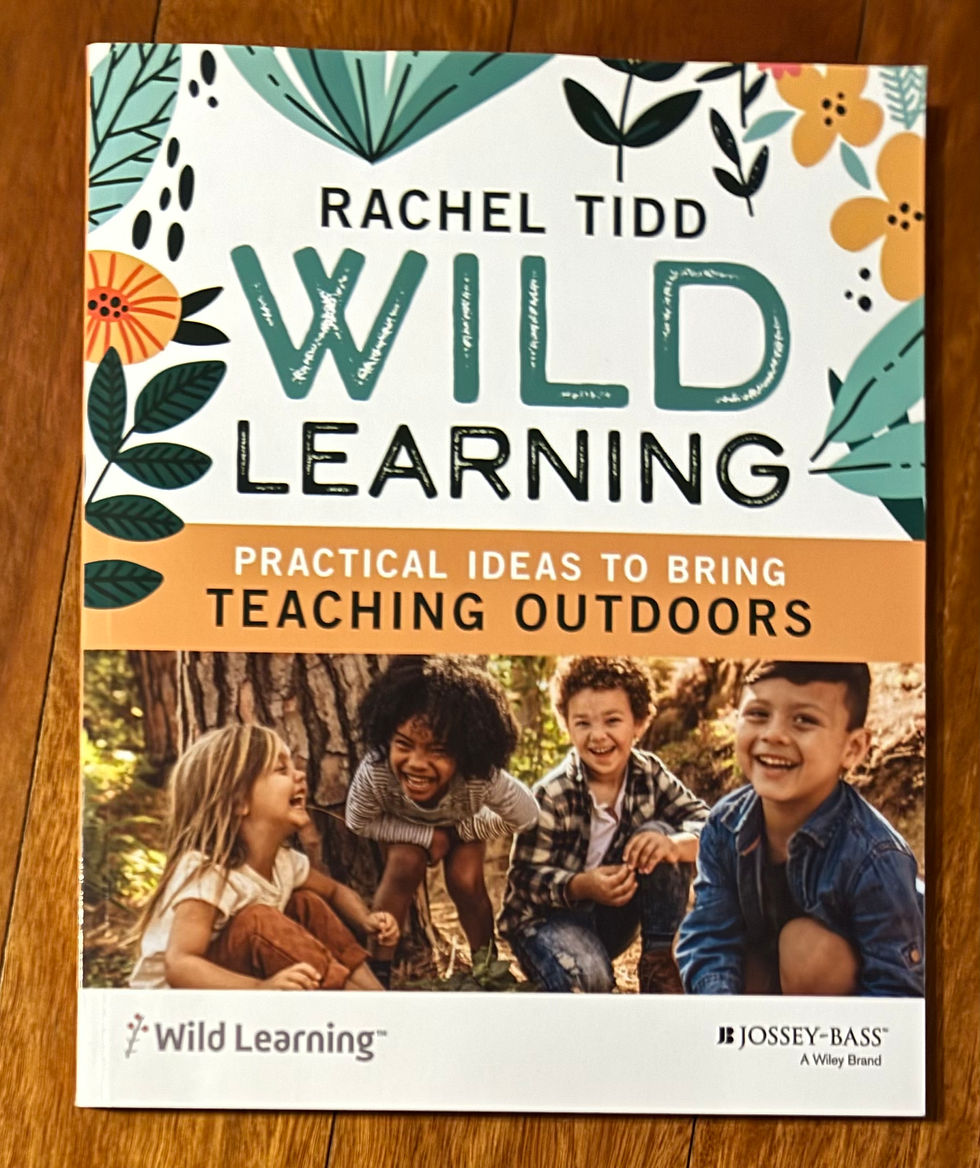 Thumbnail: Wild Learning Teaching Outdoors by Rachel Tidd