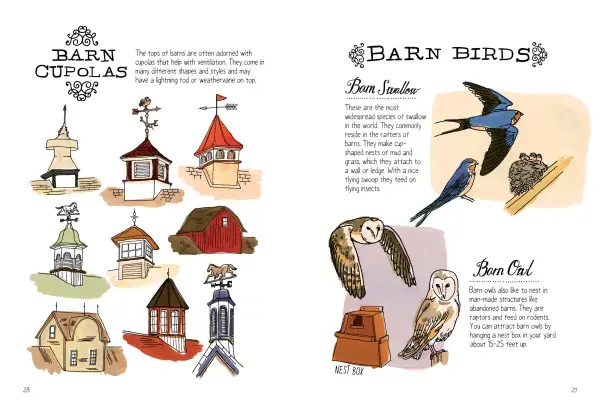 Thumbnail: Farm Anatomy by Julia Rothman