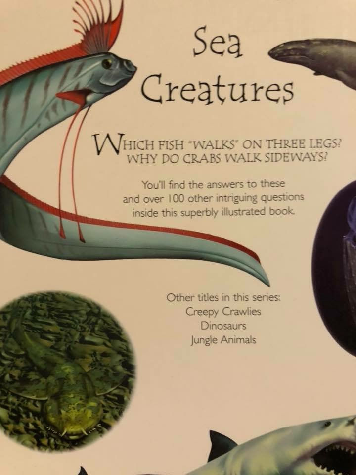 Thumbnail: Sea Creatures 