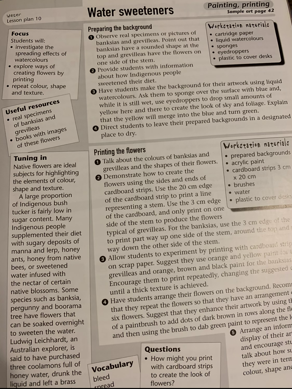 Thumbnail: Focus On Indigenous Art Across The Curriculum Ages 5-8 (Macmillian)